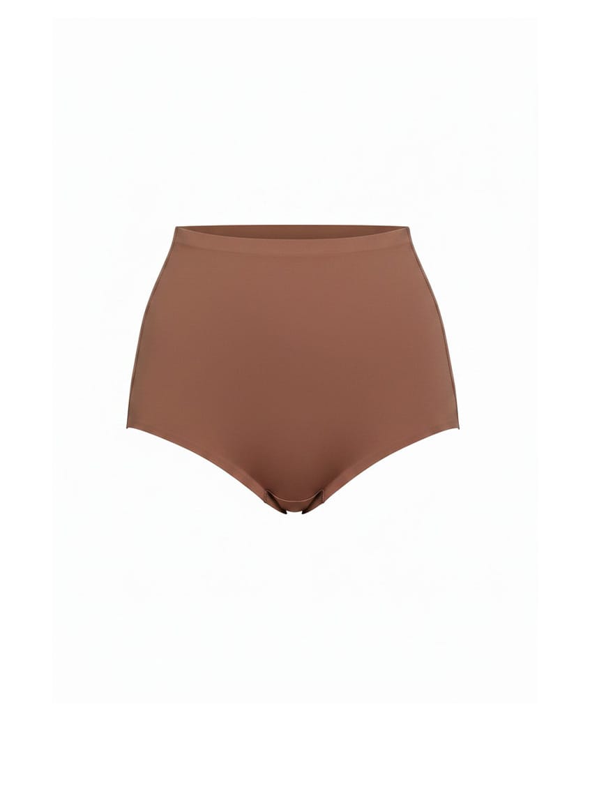 Brown high-waisted bikini bottom on a white background